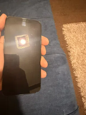Apple iPhone 12 Pro Max 256 GB in Irbid