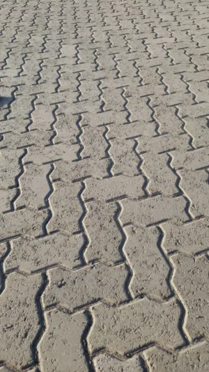 used interlock