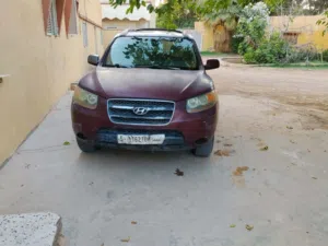 سنتافي 2008