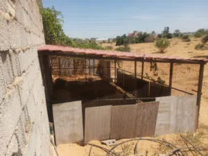 براكة 4x6 ارتفاع 2 م