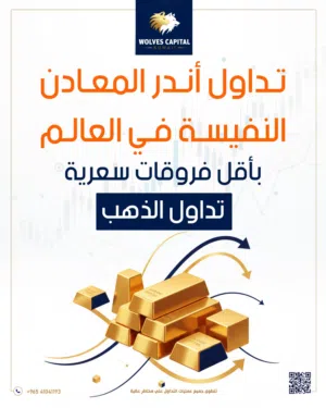 مصممه جرافيك محترفه