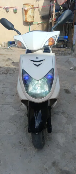 سكنس فحل نوزل خطين موديل 2009
