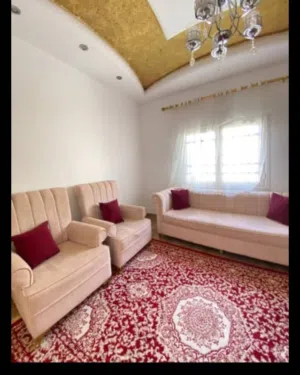 صالون افرنجى