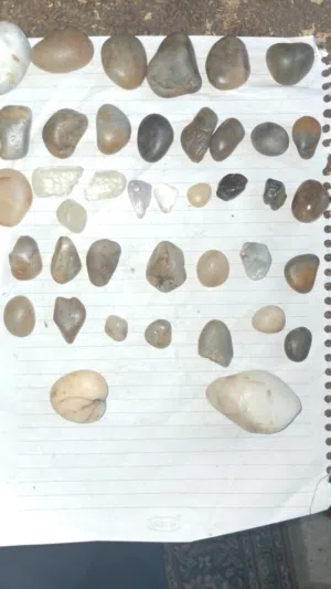 لمحبي إقتناء النوادر الفاخره