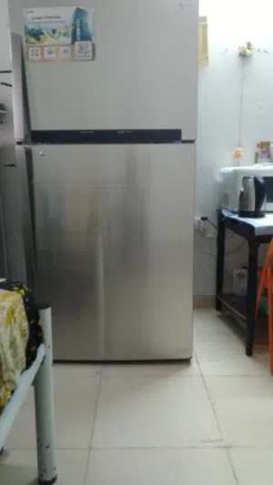 This LG top-mount refrigerator