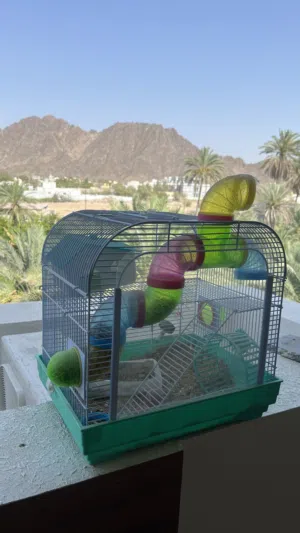 قفص الحيوانات الأليفه