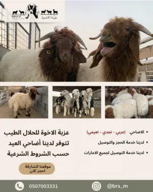 اضاحي العيد 2026