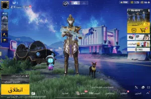 Pubg Accounts and Characters for Sale in Al Batinah