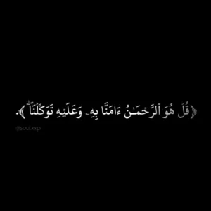 abdo 