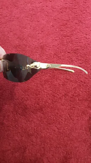 نظارة ماركة كارتير