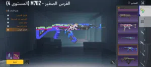 Pubg Accounts and Characters for Sale in Madaba