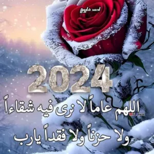 سيد سليم