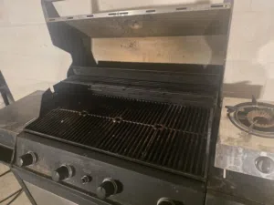 باربكيو غاز وفحم