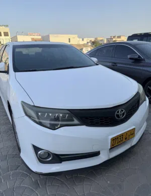 ليتات لكزز