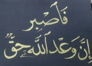 عبد الحميد محمد 