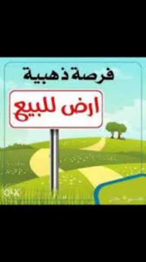 فرصة ذهبية للبيع – أرض سكنية أو استثمارية في أبو غريب / منطقة الديوان