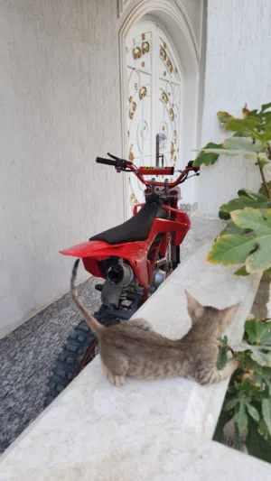 used-like new  125cc   very good and very fast price negotiable