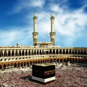 حاتم الرياني 
