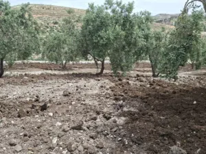 Mixed Use Land for Sale in Hebron Surif
