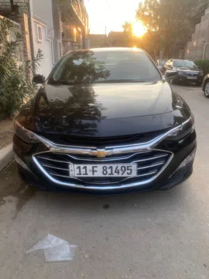 مايبو فول 1/1
