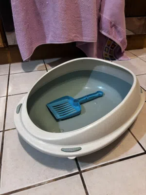 للبيع أغراض ومستلزمات قطط بحالة جيده حط سعر زين وشيل