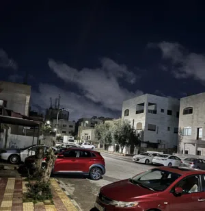حبيب 