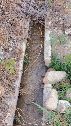Studio Farms for Sale in Jerash Unaybah