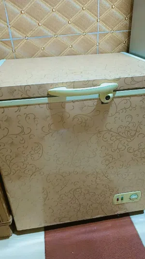 مجمده نضيفه كلشي مابيهه بس عوزهه شويه غاز شغاله وحلوة
