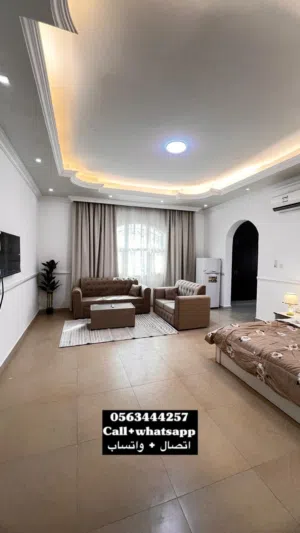 88 m2 Studio Apartments for Rent in Al Ain Al Sarooj