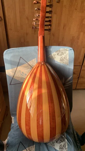 عود زرياب للبيع