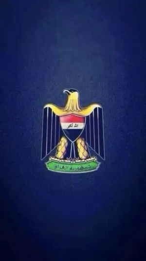 mostafa 