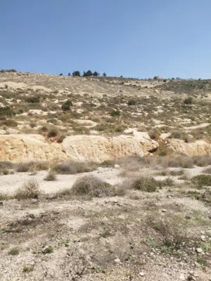 Residential Land for Sale in Zarqa Um Rummanah