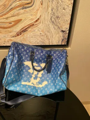 للبيع حقيبة LOUIS VUITTON
