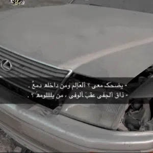مشاغب 