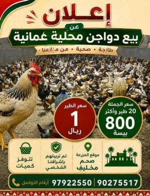دواجن محلية عماني فرنسي