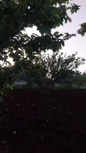 أرض للبيع في خرجا العرقوب