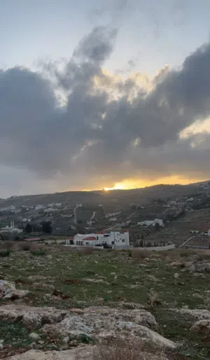 Residential Land for Sale in Zarqa Birayn