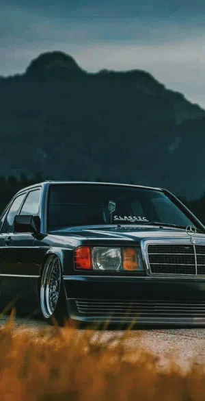 أبو أركان 