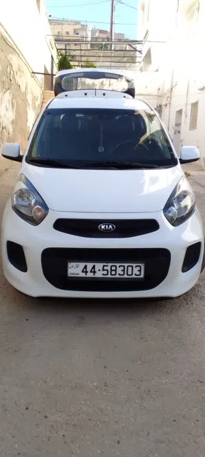 Used Kia Picanto in Amman