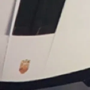 عبدالملك الشحي 