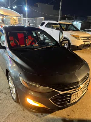 شوفرليه  ماليبو 2019  مستعمل للبيع  بغداد