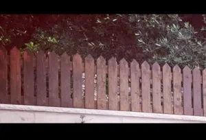 خشب سويد سويدي للمنازل ورفع السور  والروضات والحضانات والفلل والقصور والمزارع  والديكورات المنزلية