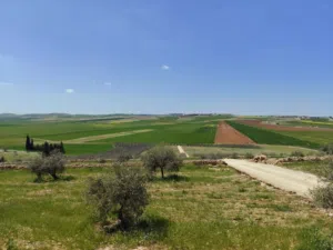 Farm Land for Sale in Madaba Other