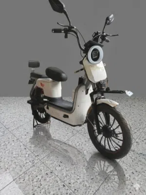 دراجة كهربائية شحن  وبيها مجال