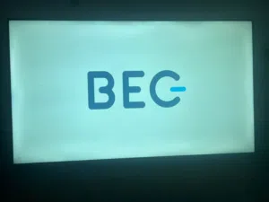 للبيع تلفزيون BES/55