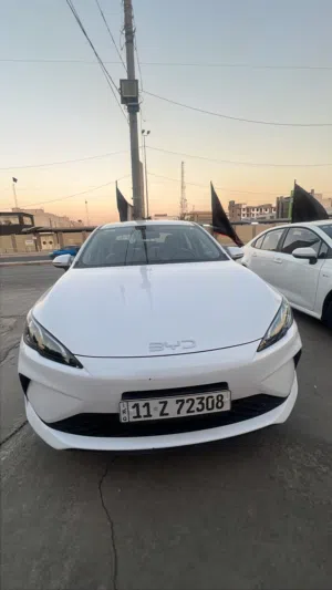 سيل 5 2025