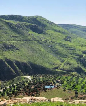 Farm Land for Sale in Salt Wadi Shua'ib