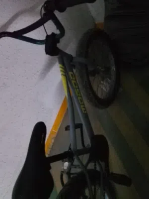 bmx no problem