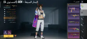 Pubg Accounts and Characters for Sale in Tripoli
