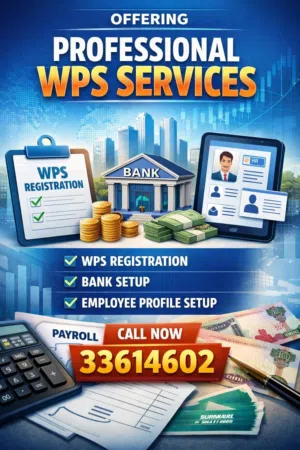Professional Audit, VAT, Accounting and WPS Services